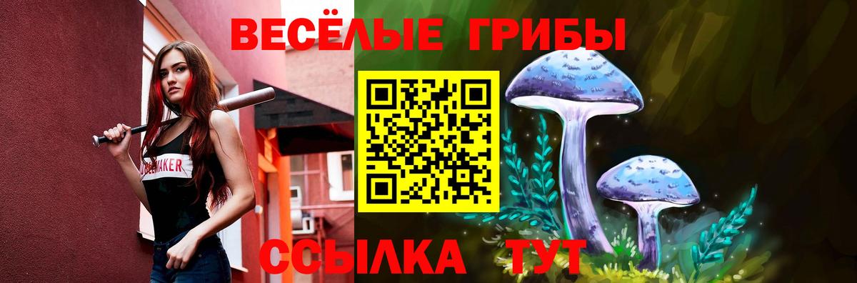 Серов  Галлюциногенные грибы Magic Shrooms  Вход с VPN 